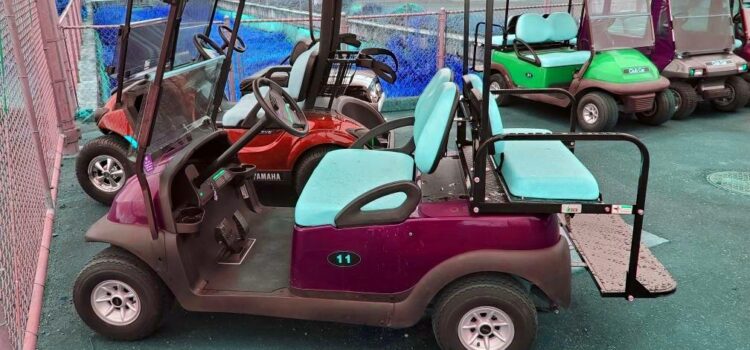 <strong>Features of the Club Car Precedent (48v) Golf Cart</strong>